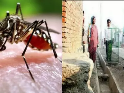 International Community Can Take A Cue From This Maharashtra Village To Fight Zika Outbreak