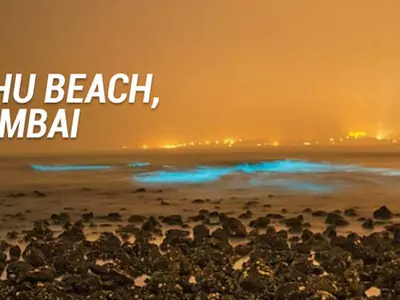 Bioluminescent Waves Make An Appearance On Mumbai's Juhu Beach And They Are Breathtaking!