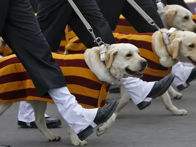 These Images Tell Us How Hard Army's Canine Unit Is Working For Their Republic Day Parade Debut