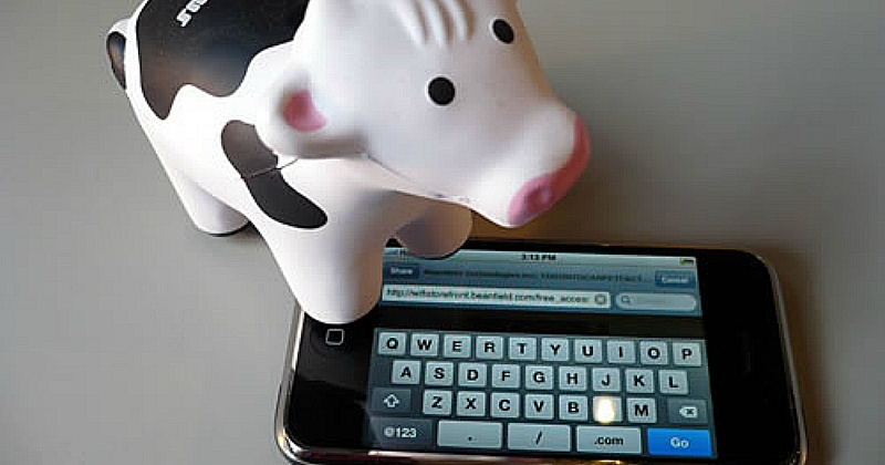 DialM For Moo, Haryana Government Starts An Official Helpline For Cows