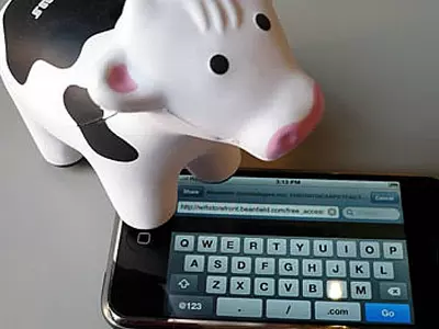 cow phone