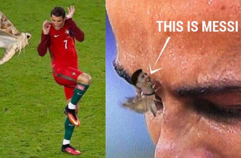 Euro 2016: A Moth Sat On Cristiano Ronaldo's Face And Broke The Internet!  Here's What Happened!