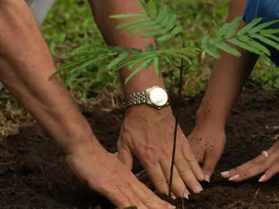 Plant A Tree As Punishment