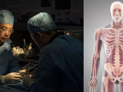 A Chinese Doctor Is Planning 'Full Body' Transplants
