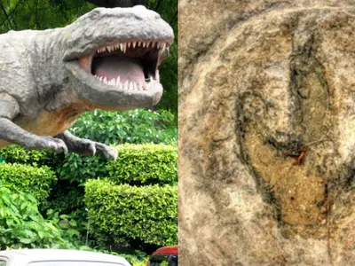 Footprints Of 150-Million-Year-Old Dinosaurs Found In Rajasthan