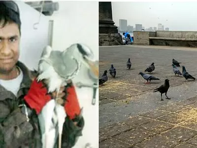 This Youngster Rescues Birds, Animals In Concrete Jungle