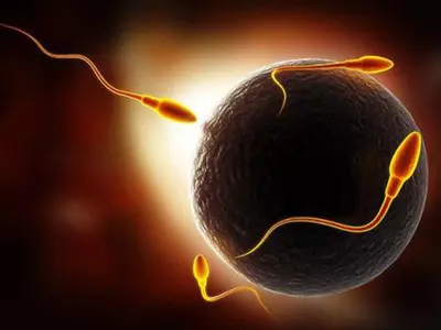 Call For Men In China To Donate Sperm For Country's Sake