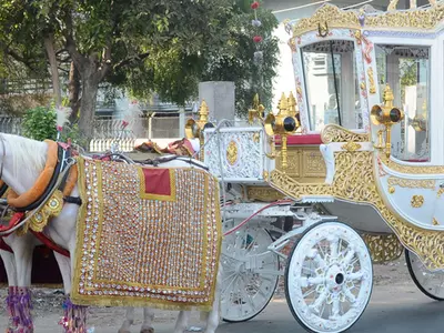 Kolkata Man Starts India’s First Air Conditioned Horse Carriage!