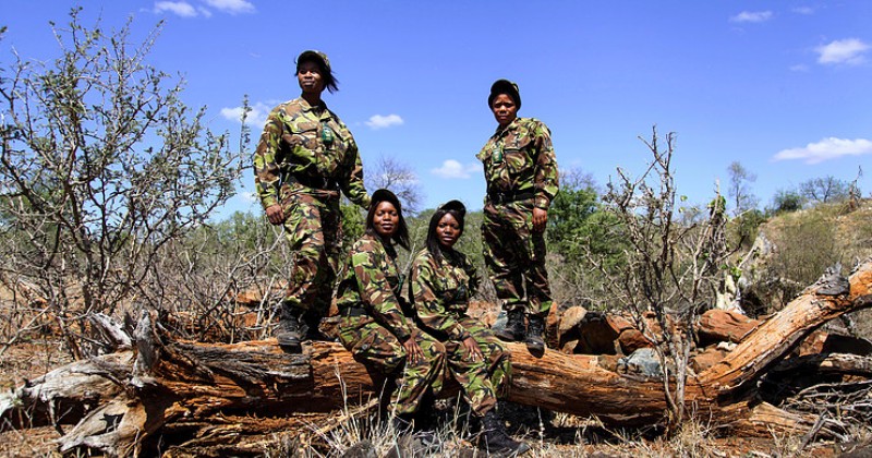 Black mamba the female badass essay 06 picture