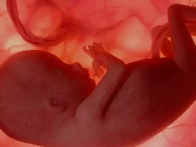 4D Ultrasound Research Reveals The Harmful Effects Of Smoking On Unborn Babies