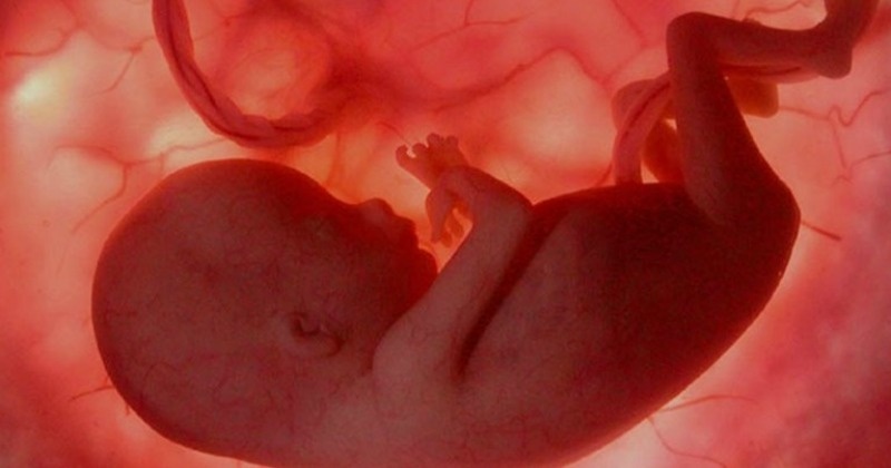 4D Ultrasound Research Reveals The Harmful Effects Of Smoking On Unborn ...