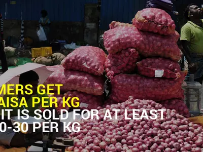 Farmers Sell Onions For 50 Paisa A Kg