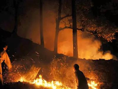 Yet Another Forest Fire Rages In Uttarakhand, And It Is Spreading Fast