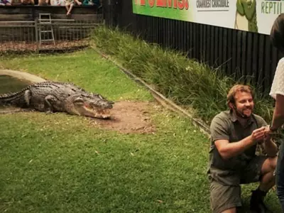 This Guy's Proposal To His Girlfriend Had A Special Guest In Attending - A Crocodile!