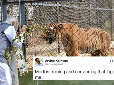 Modi Took Photo Of A Tiger