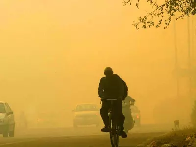 Delhi Chokes On Worst Nov Smog In Many Years