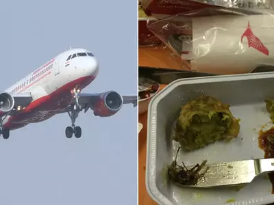 Cockroach Found In Meal Served On AI Flight, Airline's Probe On