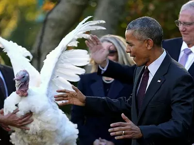 Obama Pardons Last Turkey At Thanksgiving Tradition, Cracks Embarrassing Dad Jokes!