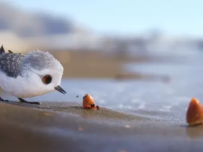 Pixar's Latest Short Piper Is Not Just The Cutest One Ever, It's Also Has A Powerful Message