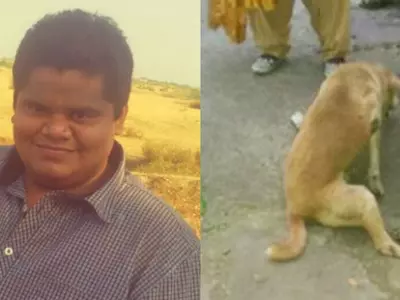 This Man Cruelly Ran Over A Stray To Take Revenge On The Dog Who Was Simply Peeing On The Road!