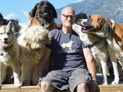 This Couple Adopted 46 Rescue Dogs To Give Them A Forever Home Because The Pooches Deserved It!