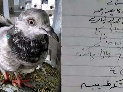 Balloons, Pigeon Part Of Pakistan's 'Psychological Operation'