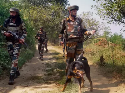 Canine 'Soldiers', The Mute Sentinels Of Kashmir