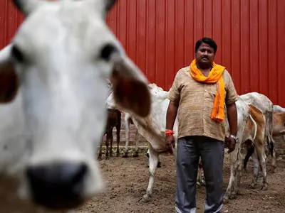 Gujarat Gauseva Board: Prophet & Jesus Sought Cow Protection