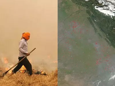 Despite Ban, Crop Fires Already On In Punjab And Haryana, Raise Pollution Fear In Delhi