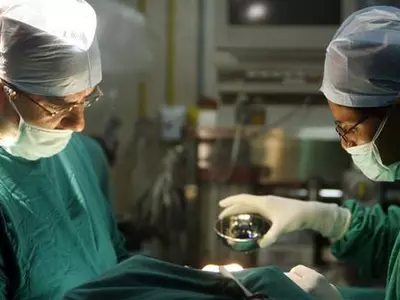 Brain-Dead Woman's Organs Save Life Of 5