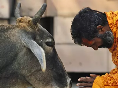 After Police Crackdown, VHP Stops Sprinkling Cow Urine On Garba Visitors
