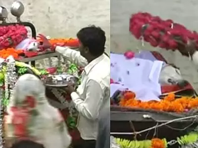 This Village In MP Bid Farewell To Their Beloved Dog, Kalu, With A Funeral Procession