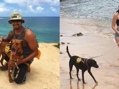 Planning A Vacation In Hawaii? You Can Now Adopt Dogs For A Day To Make It Perfect!