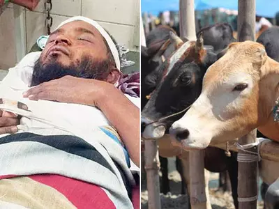 Cow Vigilantes Thrash Two Men In West Delhi