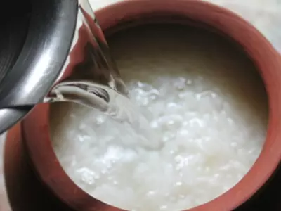 Fermented rice