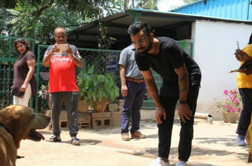Virat Kohli's Unconditional Love For Dogs Erupts! RCB Captain Fetches Up At Dog Welfare Centre In Bangalore Virat Kohli's Unconditional Love For Dogs Erupts! RCB Captain Fetches Up At Dog Welfare Centre In Bangalore