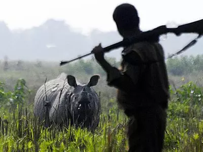 Two Poachers Killed In Assam