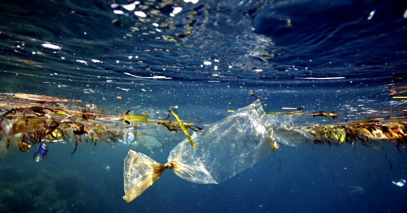 The Pristine Arctic Ocean Has 300 Billion Pieces Of Floating Plastic ...