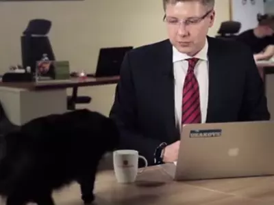 a curious cat interrupts Latvian mayor's live broadcast  Read more: http://www.dailymail.co.uk/news/article-4389430/Curious-cat-interrupts-Latvian-mayor-s-live-broadcast.html#ixzz4dZ1UArXR  Follow us: @MailOnline on Twitter | DailyMail on Facebook