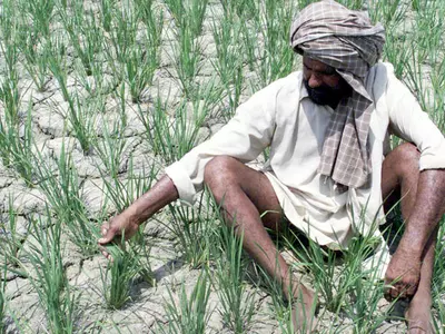 Climate Change Punjab