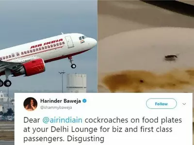 Air India Serves Food With Cockroach At VIP Lounge In Delhi Airport