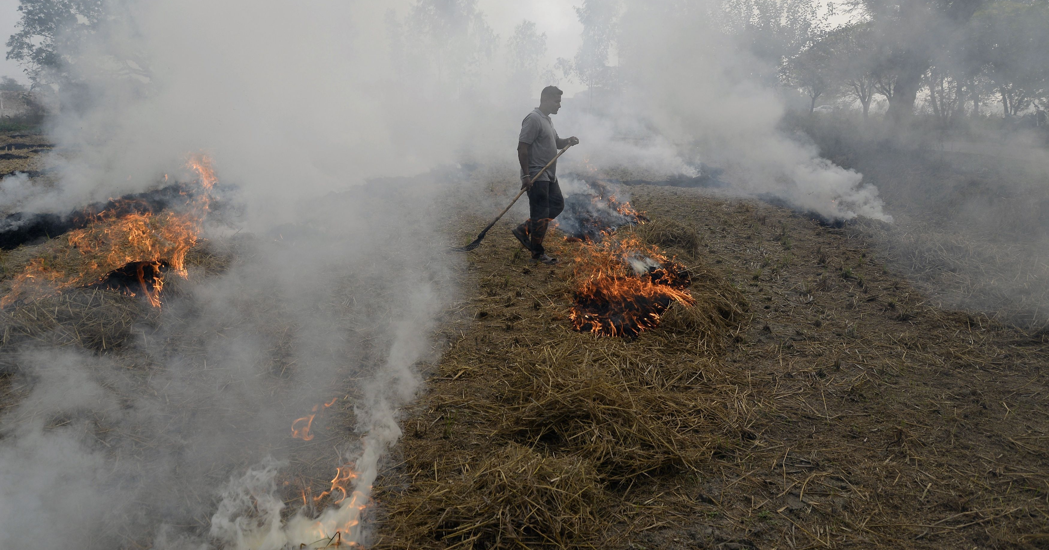 farmers-near-delhi-quit-stubble-burning-as-hazardous-smog-continues-to