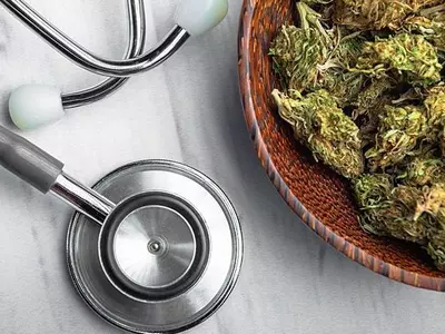 Medical Marijuana Is Safe To Use As A Medical Drug, It Has No Health Risks States WHO