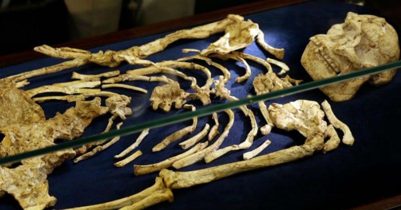 Scientists Find 1.5 Million Year Old 'Almost Full Human Skeleton' In