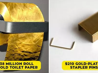 Toilet Paper and Stapler Pins