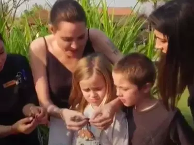 Angelina Jolie Cook Bugs In Cambodia