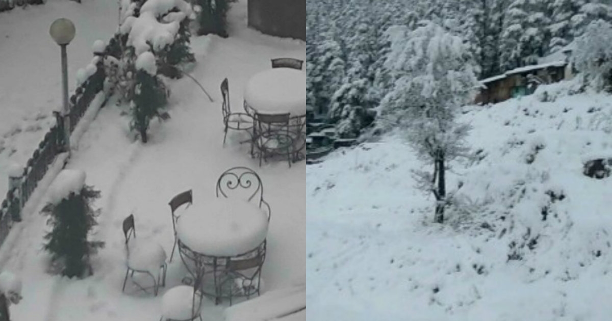 Shimla Is Covered In A Thick Blanket Of Snow And We Want Nothing More