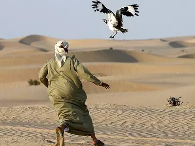 Pakistan villagers attack convoy of Qatar royal hunting rare bird