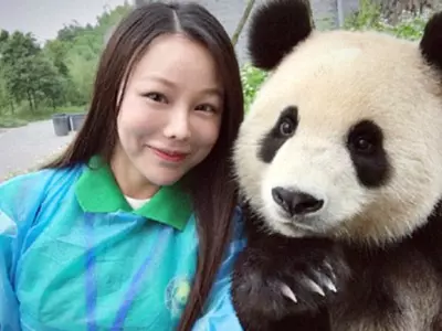 Camera-Loving Panda Poses For Selfies With A Tourist And Does A Better Job Than Most Of Us!