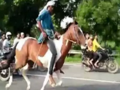 horseracing